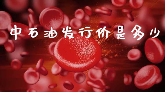 中石油发行价是多少_https://m.fansifence.com_公募基金_第1张