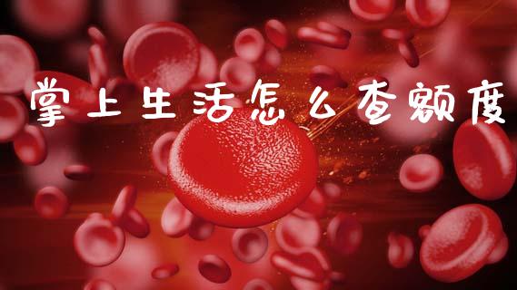 掌上生活怎么查额度_https://m.fansifence.com_消费金融_第1张