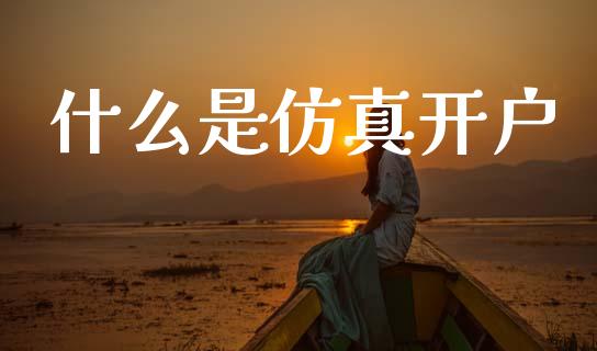 什么是仿真开户_https://m.fansifence.com_公募基金_第1张