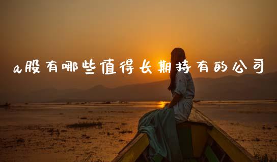 a股有哪些值得长期持有的公司_https://m.fansifence.com_公募基金_第1张