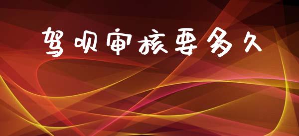驾呗审核要多久_https://m.fansifence.com_消费金融_第1张