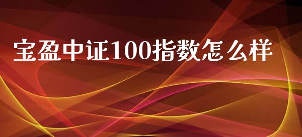 宝盈中证100指数怎么样_https://m.fansifence.com_贵金属行情_第1张