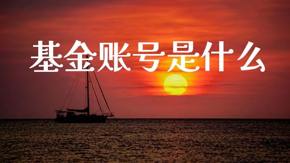 基金账号是什么_https://m.fansifence.com_公募基金_第1张