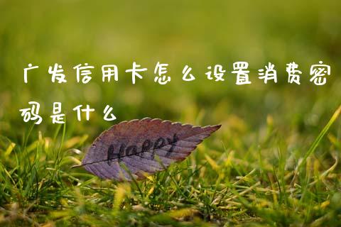 广发信用卡怎么设置消费密码是什么_https://m.fansifence.com_公募基金_第1张