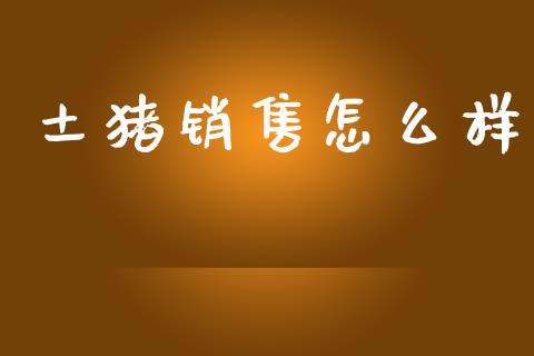 土猪销售怎么样_https://m.fansifence.com_消费金融_第1张
