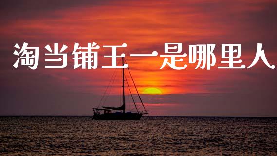 淘当铺王一是哪里人_https://m.fansifence.com_公募基金_第1张