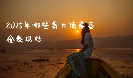 2015年哪些美元债券基金表现好_https://m.fansifence.com_贵金属行情_第1张