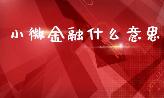 小微金融什么意思_https://m.fansifence.com_个股行情_第1张