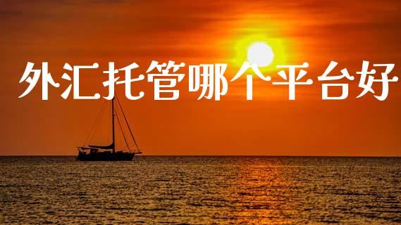 外汇托管哪个平台好_https://m.fansifence.com_贵金属行情_第1张
