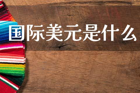国际美元是什么_https://m.fansifence.com_公募基金_第1张