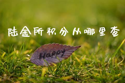 陆金所积分从哪里查_https://m.fansifence.com_个股行情_第1张