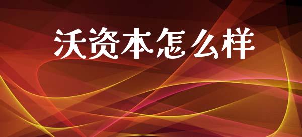 沃资本怎么样_https://m.fansifence.com_贵金属行情_第1张