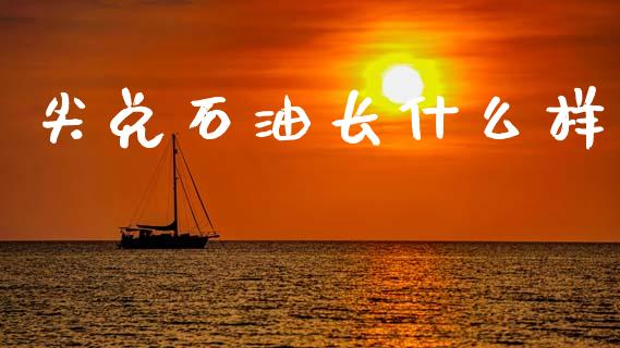 尖兑石油长什么样_https://m.fansifence.com_贵金属行情_第1张