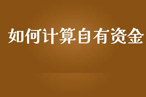 如何计算自有资金_https://m.fansifence.com_消费金融_第1张