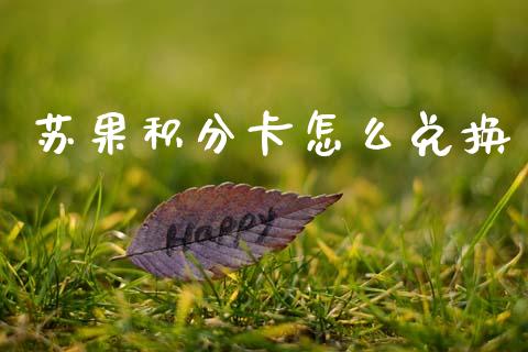 苏果积分卡怎么兑换_https://m.fansifence.com_公募基金_第1张