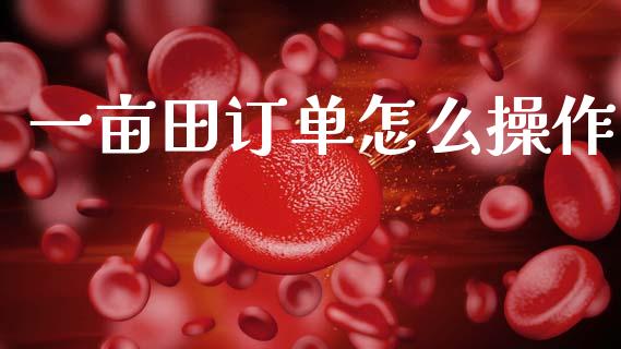 一亩田订单怎么操作_https://m.fansifence.com_消费金融_第1张