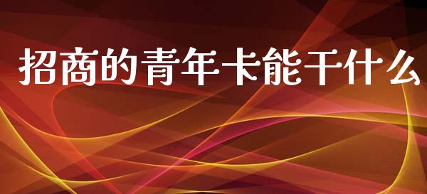 招商的青年卡能干什么_https://m.fansifence.com_公募基金_第1张