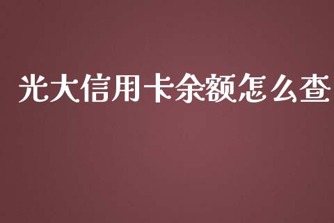 光大信用卡余额怎么查_https://m.fansifence.com_公募基金_第1张