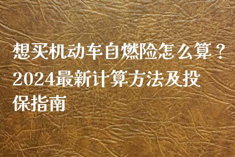 想买机动车自燃险怎么算？2024最新计算方法及投保指南_https://m.fansifence.com_消费金融_第1张