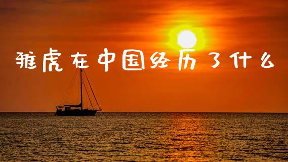 雅虎在中国经历了什么_https://m.fansifence.com_公募基金_第1张