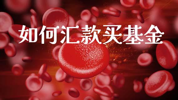 如何汇款买基金_https://m.fansifence.com_贵金属行情_第1张