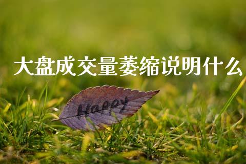 大盘成交量萎缩说明什么_https://m.fansifence.com_消费金融_第1张