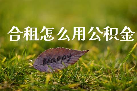 合租怎么用公积金_https://m.fansifence.com_公募基金_第1张