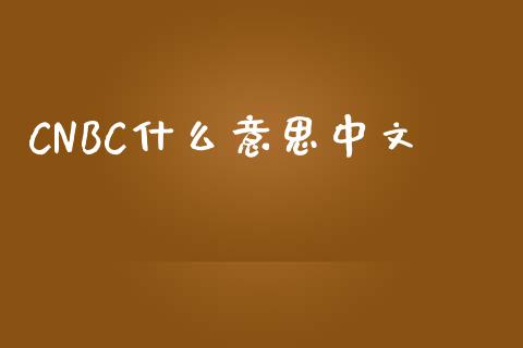 CNBC什么意思中文_https://m.fansifence.com_消费金融_第1张
