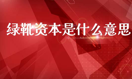 绿靴资本是什么意思_https://m.fansifence.com_公募基金_第1张
