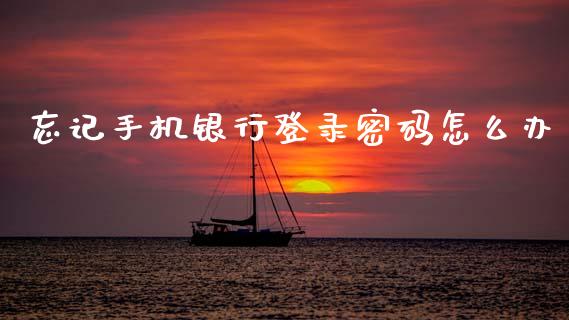 忘记手机银行登录密码怎么办_https://m.fansifence.com_贵金属行情_第1张