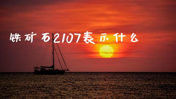 铁矿石2107表示什么_https://m.fansifence.com_公募基金_第1张