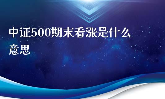中证500期末看涨是什么意思_https://m.fansifence.com_公募基金_第1张