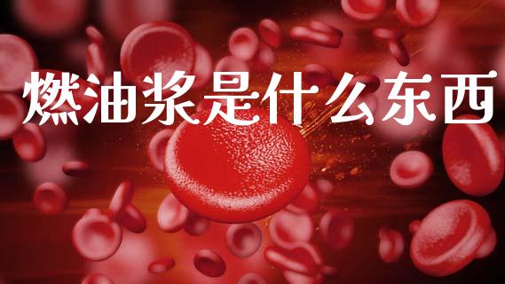 燃油浆是什么东西_https://m.fansifence.com_个股行情_第1张