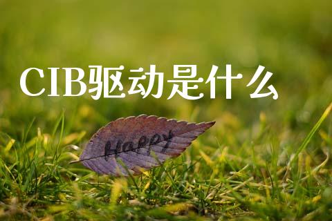 CIB驱动是什么_https://m.fansifence.com_公募基金_第1张