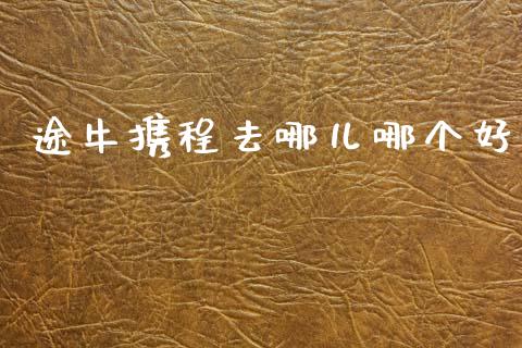 途牛携程去哪儿哪个好_https://m.fansifence.com_个股行情_第1张