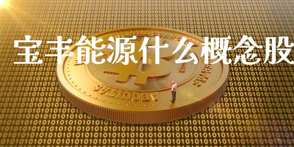 宝丰能源什么概念股_https://m.fansifence.com_消费金融_第1张
