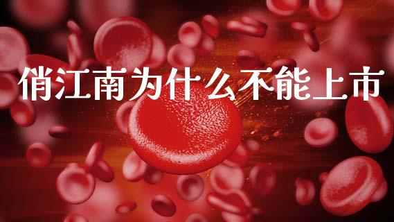 俏江南为什么不能上市_https://m.fansifence.com_贵金属行情_第1张