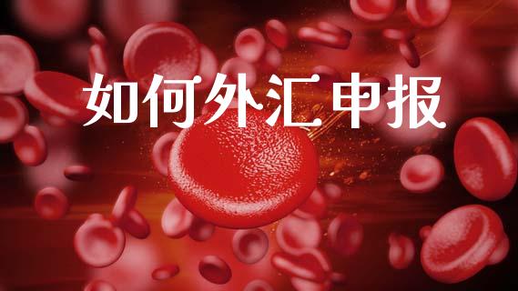 如何外汇申报_https://m.fansifence.com_公募基金_第1张
