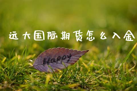 远大国际期货怎么入金_https://m.fansifence.com_个股行情_第1张