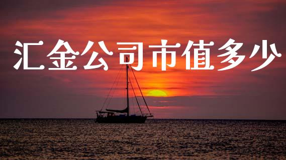 汇金公司市值多少_https://m.fansifence.com_消费金融_第1张