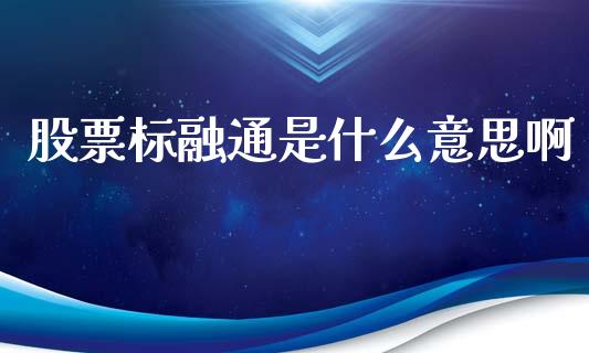 股票标融通是什么意思啊_https://m.fansifence.com_公募基金_第1张