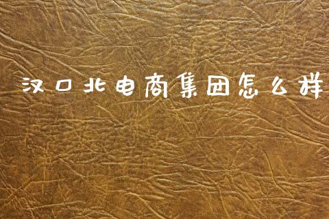 汉口北电商集团怎么样_https://m.fansifence.com_消费金融_第1张