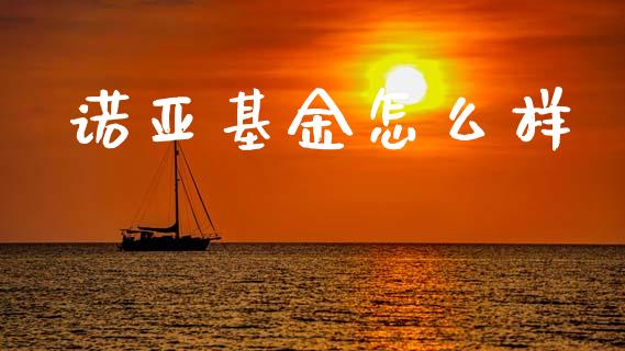诺亚基金怎么样_https://m.fansifence.com_公募基金_第1张