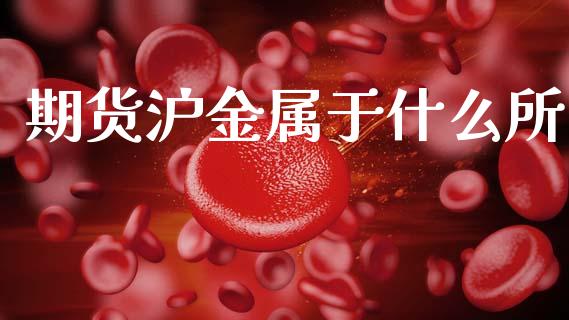 期货沪金属于什么所_https://m.fansifence.com_贵金属行情_第1张