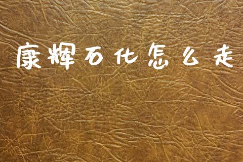 康辉石化怎么走_https://m.fansifence.com_贵金属行情_第1张