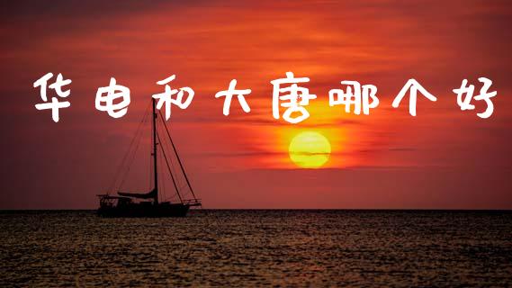 华电和大唐哪个好_https://m.fansifence.com_公募基金_第1张