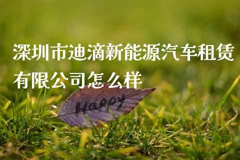 深圳市迪滴新能源汽车租赁有限公司怎么样_https://m.fansifence.com_公募基金_第1张