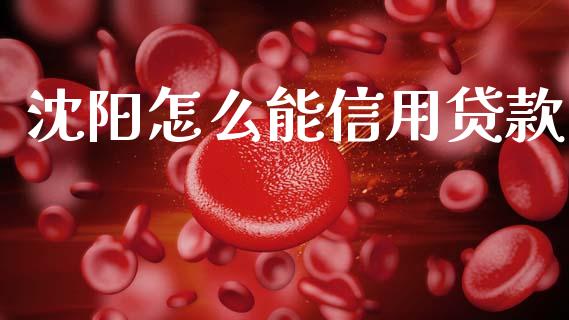 沈阳怎么能信用贷款_https://m.fansifence.com_个股行情_第1张