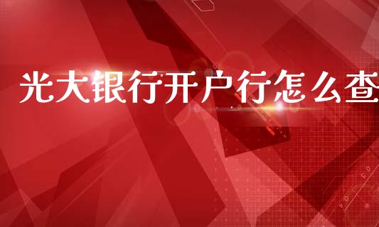 光大银行开户行怎么查_https://m.fansifence.com_个股行情_第1张