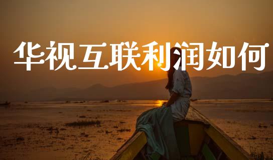 华视互联利润如何_https://m.fansifence.com_个股行情_第1张